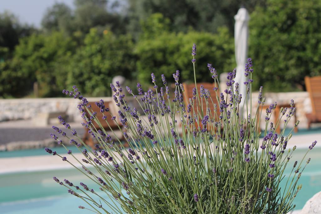 Agriturismo Masseria Saittole Карпіньяно-Салентино Екстер'єр фото